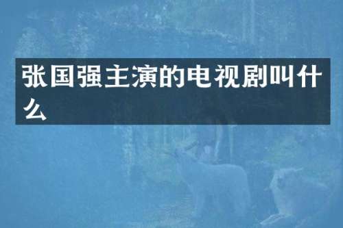 张国强主演的电视剧叫什么