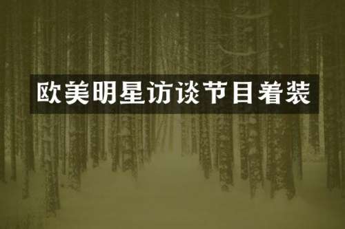 欧美明星访谈节目着装