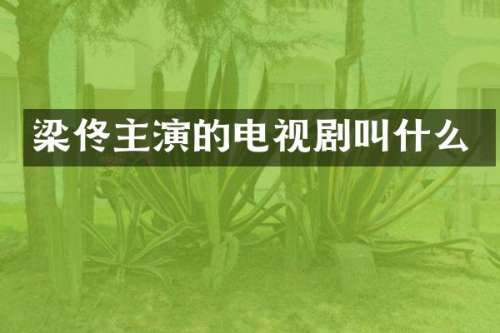 梁佟主演的电视剧叫什么