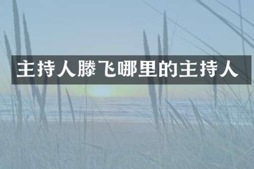主持人滕飞哪里的主持人