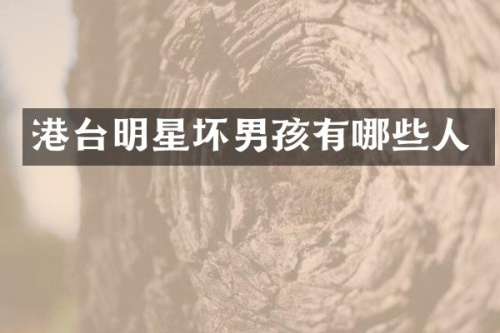 港台明星坏男孩有哪些人