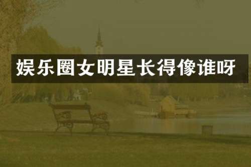 娱乐圈女明星长得像谁呀
