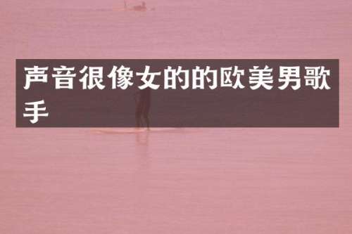 声音很像女的的欧美男歌手