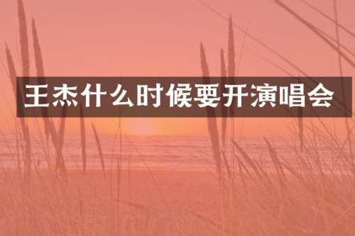 王杰什么时候要开演唱会