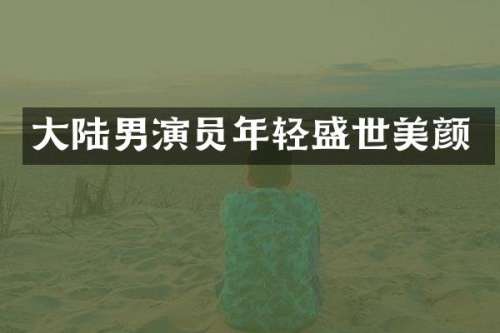 大陆男演员年轻盛世美颜