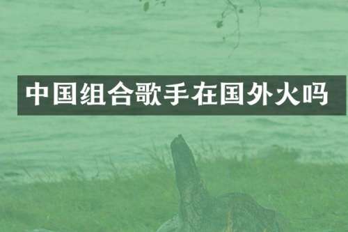 中国组合歌手在国外火吗