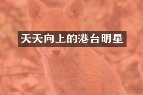 天天向上的港台明星