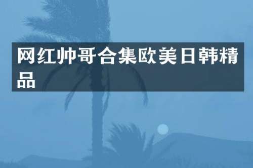 网红帅哥欧美日韩精品