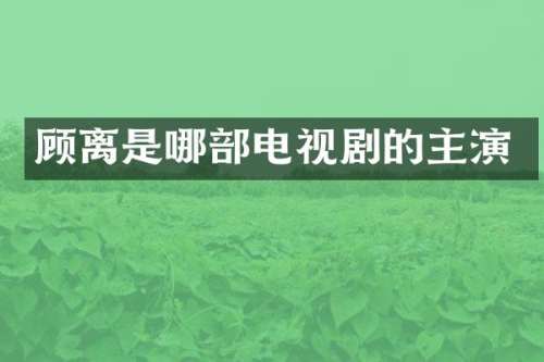 顾离是哪部电视剧的主演