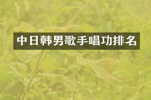 中日韩男歌手唱功排名
