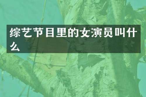 综艺节目里的女演员叫什么