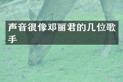 声音很像邓丽君的几位歌手