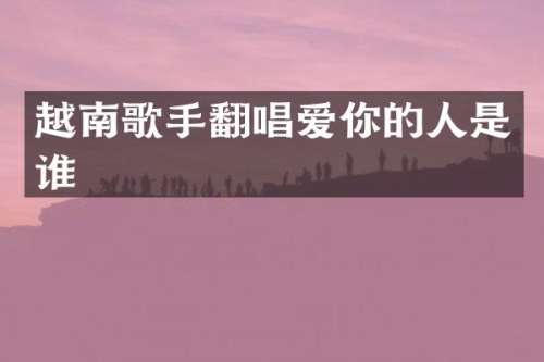 越南歌手翻唱爱你的人是谁