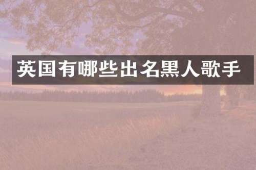 英国有哪些出名黑人歌手