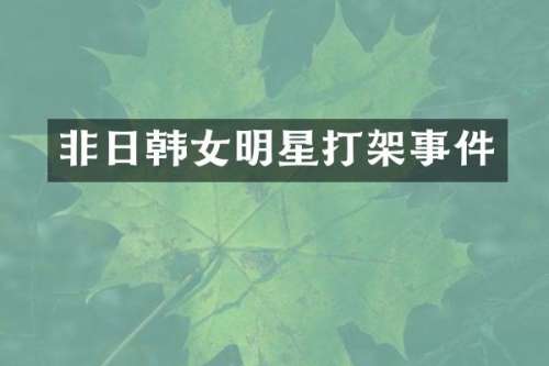 非日韩女明星打架事件
