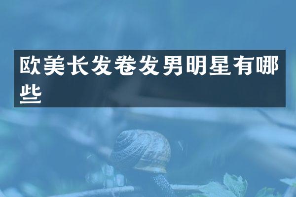欧美长发卷发男明星有哪些