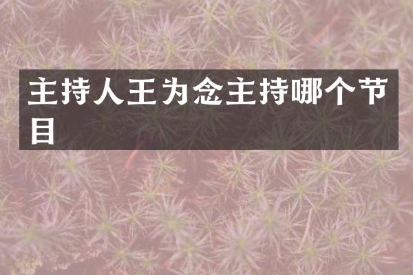 主持人王为念主持哪个节目
