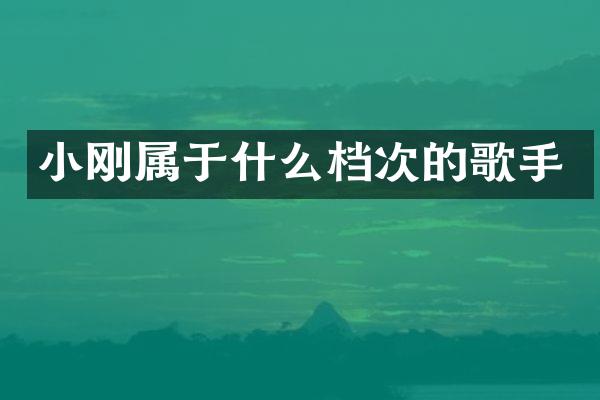 小刚属于什么档次的歌手