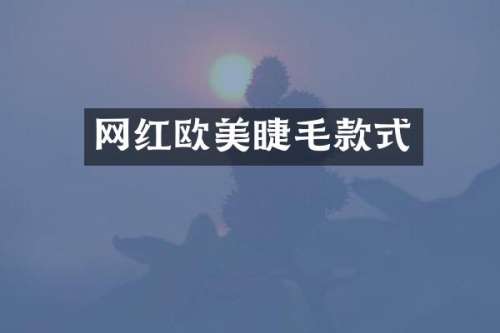 网红欧美睫毛款式