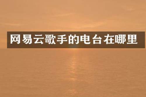 网易云歌手的电台在哪里