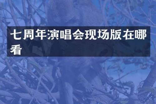 七周年演唱会现场版在哪看