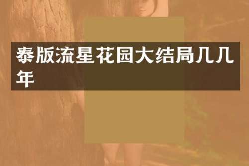 泰版流星花园大结局几几年