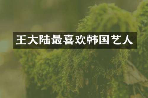 王大陆最喜欢韩国艺人
