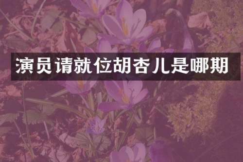 演员请就位胡杏儿是哪期