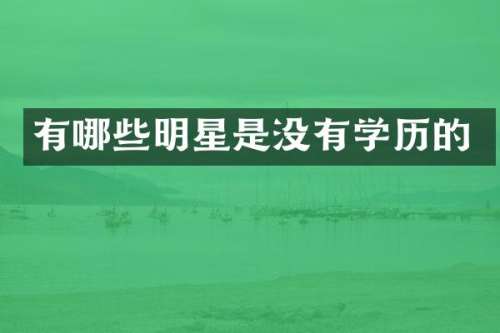 有哪些明星是没有学历的