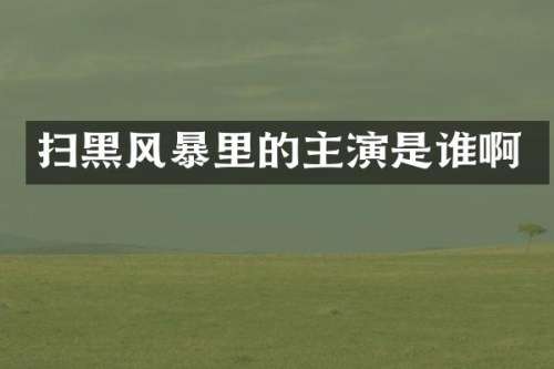 扫黑风暴里的主演是谁啊