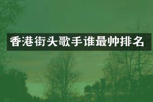 香港街头歌手谁最帅排名
