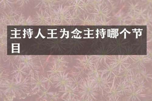主持人王为念主持哪个节目