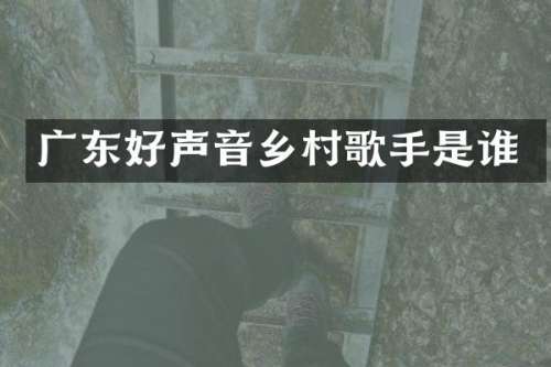 广东好声音乡村歌手是谁