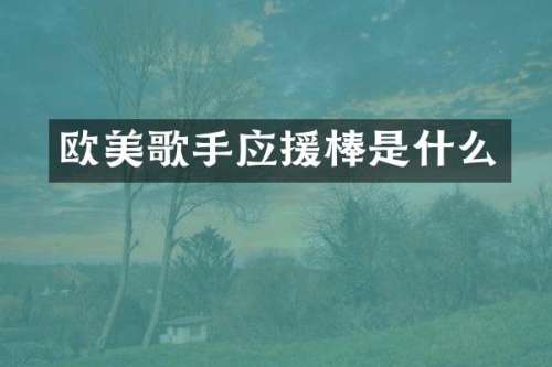 欧美歌手应援棒是什么