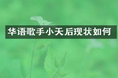 华语歌手小天后现状如何