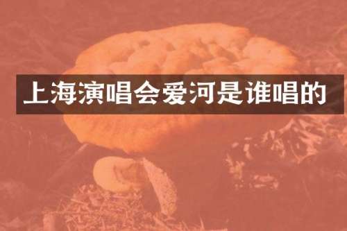 上海演唱会爱河是谁唱的