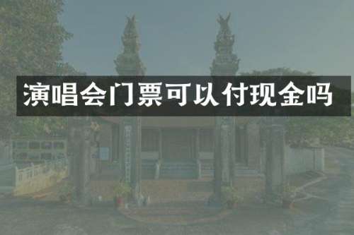 演唱会门票可以付现金吗