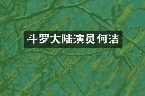 斗罗大陆演员何洁