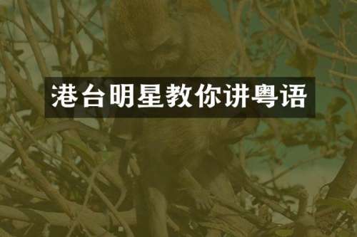 港台明星教你讲粤语