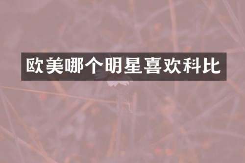欧美哪个明星喜欢科比