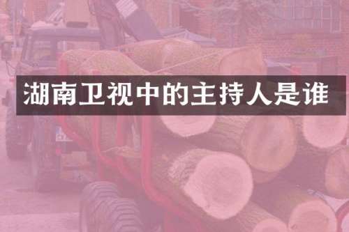 湖南卫视中的主持人是谁