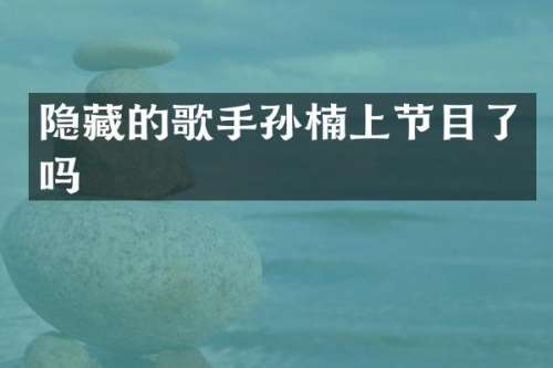 隐藏的歌手孙楠上节目了吗
