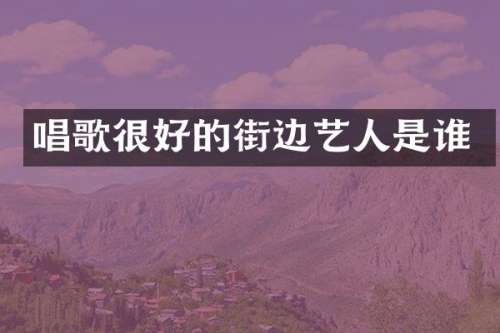 唱歌很好的街边艺人是谁