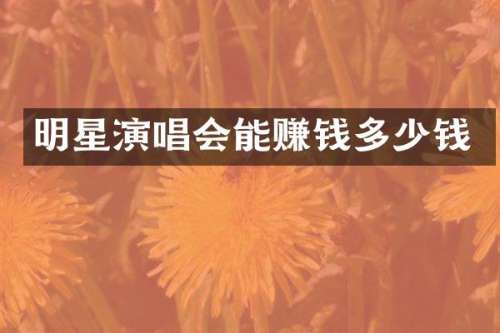 明星演唱会能赚钱多少钱