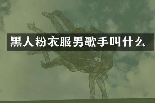 黑人粉衣服男歌手叫什么