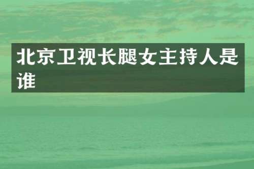 北京卫视长腿女主持人是谁