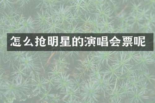 怎么抢明星的演唱会票呢