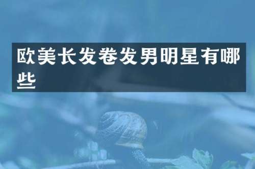 欧美长发卷发男明星有哪些