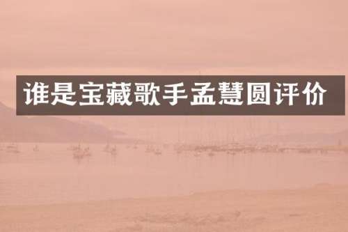 谁是宝藏歌手孟慧圆评价