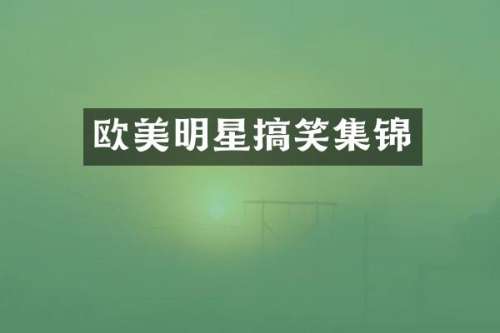 欧美明星搞笑集锦